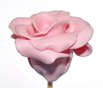 How to Make Fondant Roses How to Make Fondant Roses