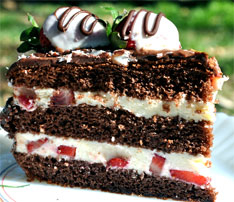 Easy Cake Recipes