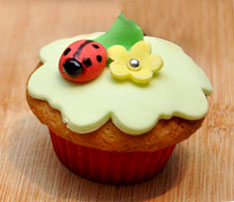 Kids Birthday Cupcakes with Flowers and Ladybugs