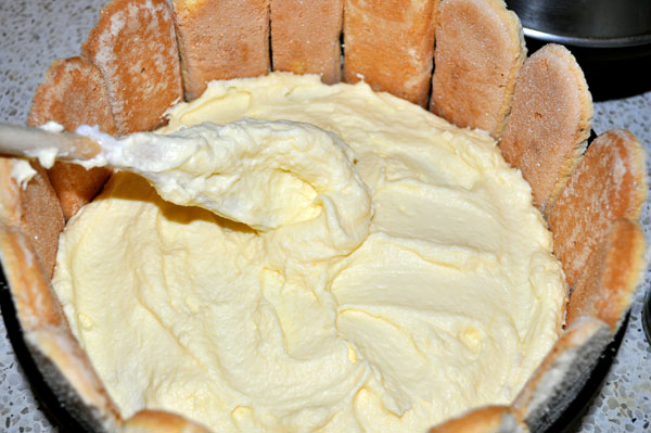 tiramisu cake recipe. On this picture the tiramisu cake is decorated with tiramisu cake recipe. On this picture the tiramisu cake is decorated with