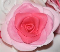 fondant roses